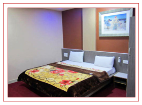 hotels-in-nathdwara