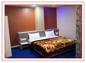 hotels-in-nathdwara